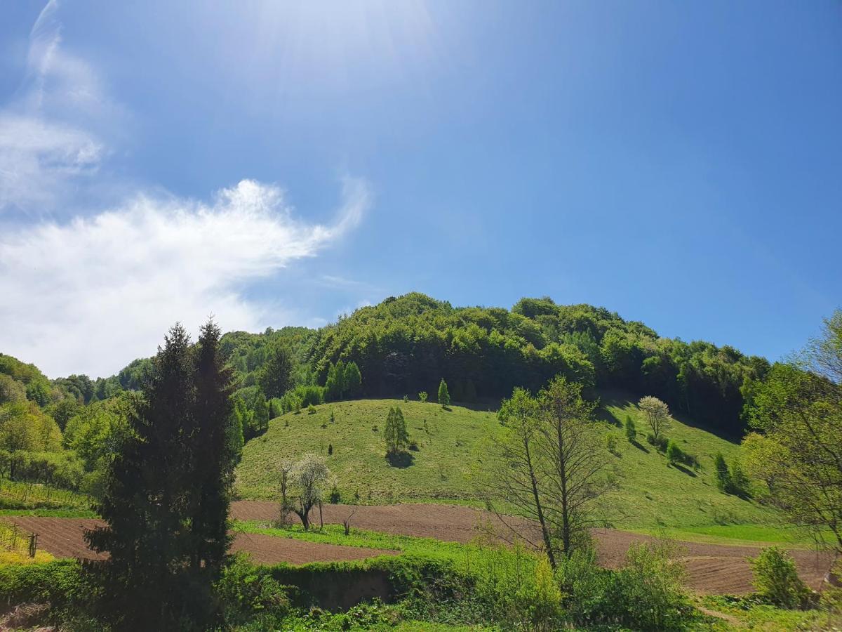Planinsko Jutro - Brzece Centar Apartments, Kopaonik Ngoại thất bức ảnh